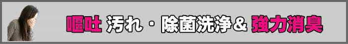 車内の嘔吐汚れ